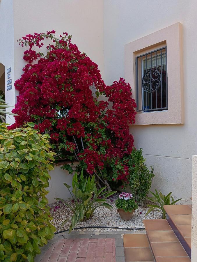 Casa Irina & Elena 2Bed 2Bath Apartment Los Altos Exterior photo